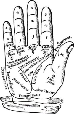 Fig. 10. Principal Lines And Mounts Of The Han 