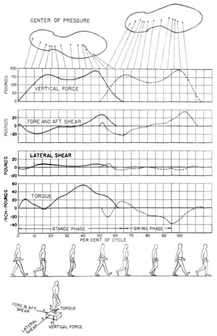 The Prosthetics And Orthotics Program · Digital Resource Foundation For ...