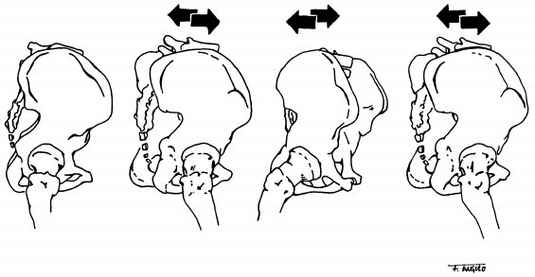 Fig 23 13 Transverse Rotation Of The Pelvis I Oandp Digital Resource Library 2213