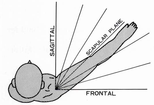 figure-1-the-scapular-plane-o-p-digital-resource-library