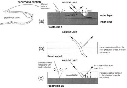 Fig 5 Schematic Diagrams Of The Optical Path O P Digital Resource