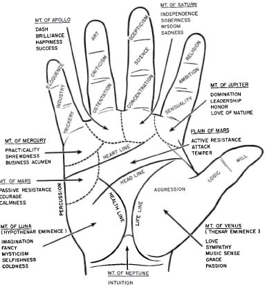 Fig. 11. The mounts and principal lines of the | O&P Digital Resource ...